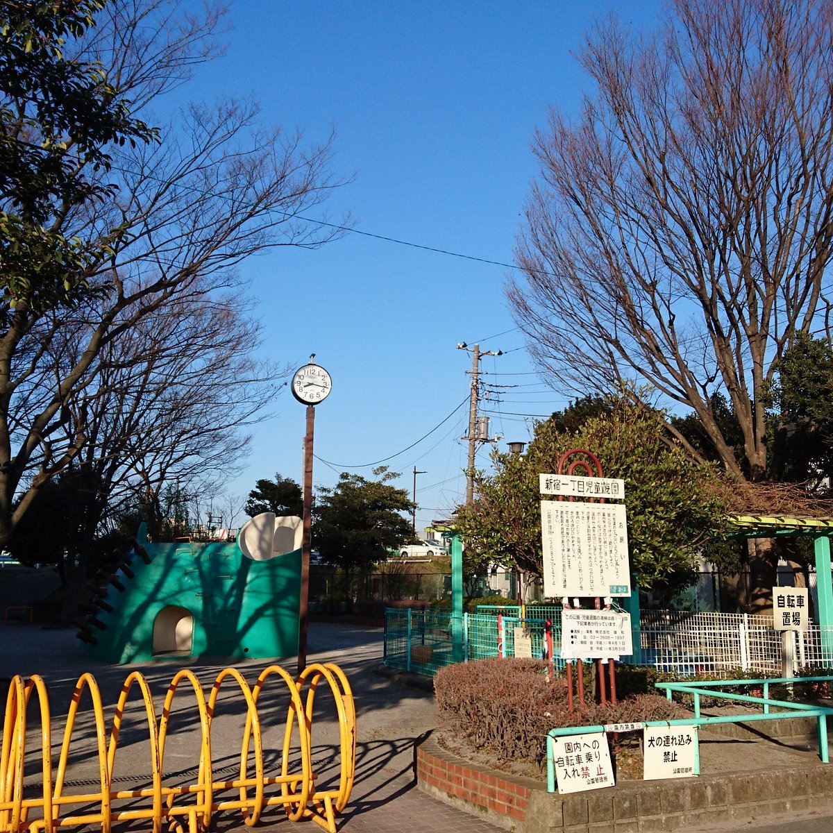 🌳 카메아리 공원 (亀有公園) 이미지 5